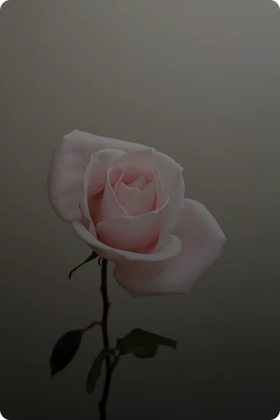 From hospital beds to walking with purpose again, every step matters.